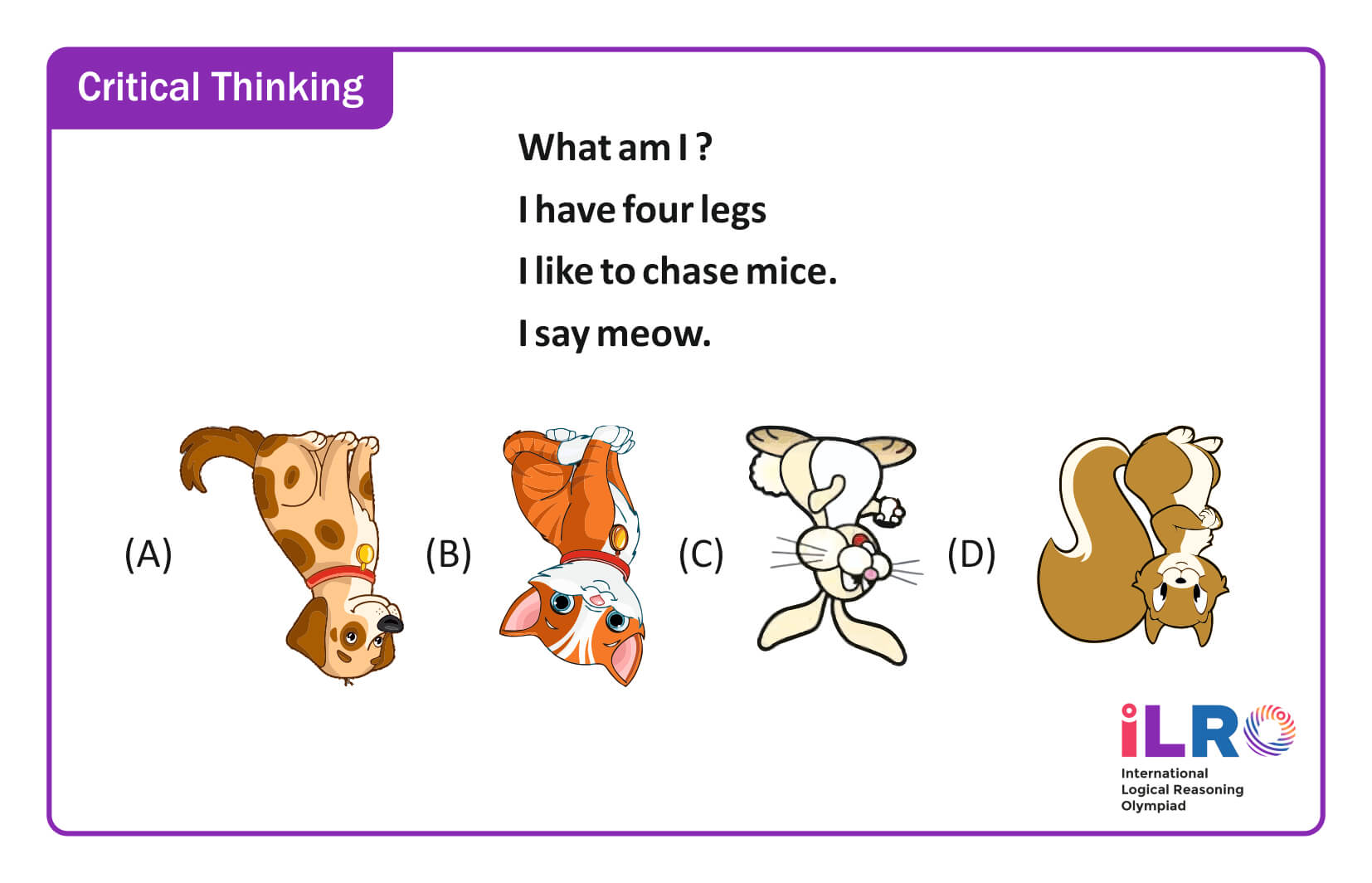 exam pattern image