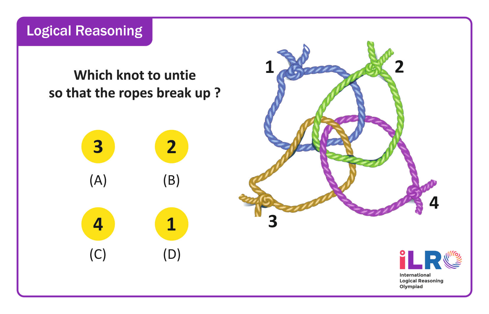 exam pattern image